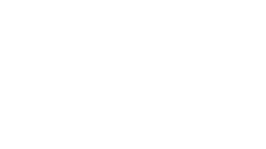 Rage Runique skill icon