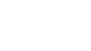 Lance de Soie skill icon